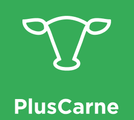 PluscarneRecomendaciones